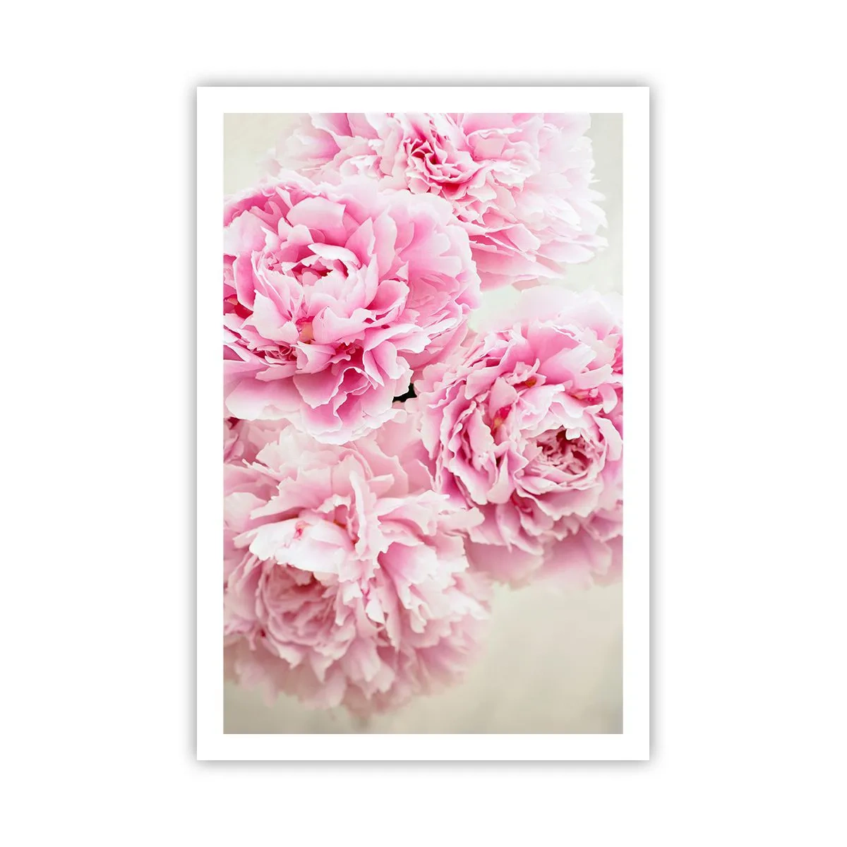 Poster - In roze glamour - 61x91 cm