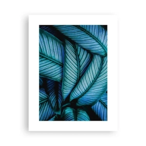 Poster - Levens lijnen - 30x40 cm