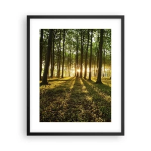 Poster in een zwarte lijst - Foto van de hele lente - 40x50 cm