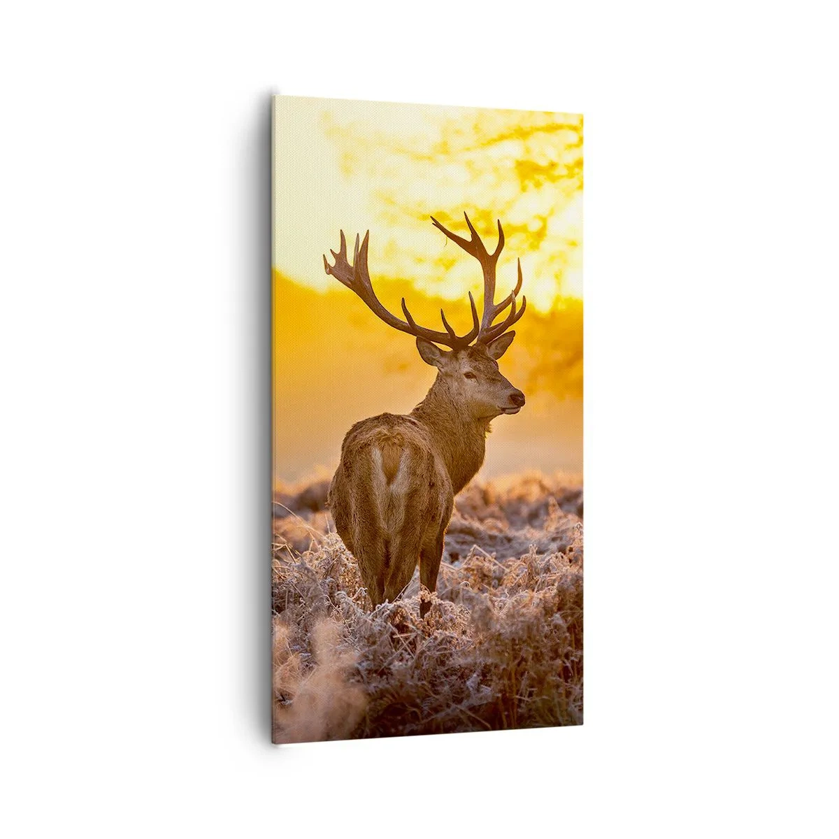 Schilderen op canvas - Koning van het herfstbos - 65x120 cm
