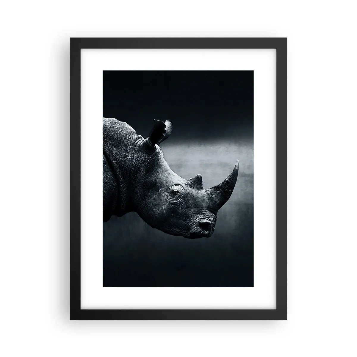Poster in een zwarte lijst - Rechts profiel - 30x40 cm