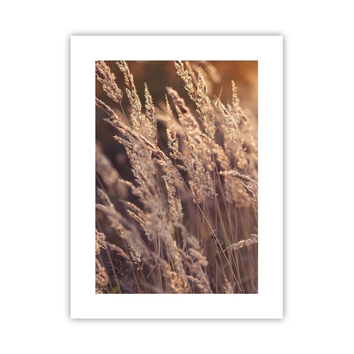 Poster - Klaar om de herfst te verwelkomen - 30x40 cm