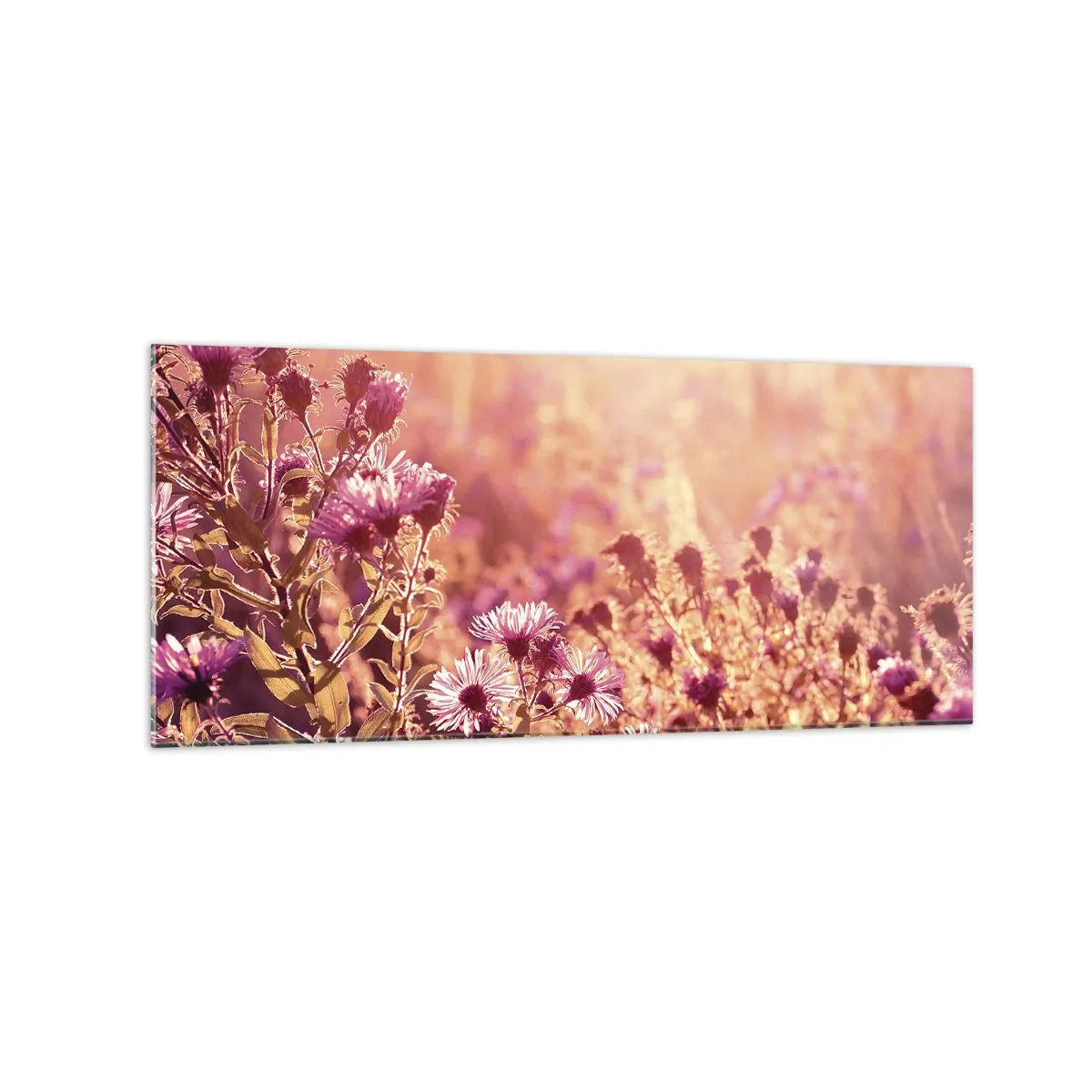 Schilderen op glas - Voordat de zomer voorbij is - 120x50 cm