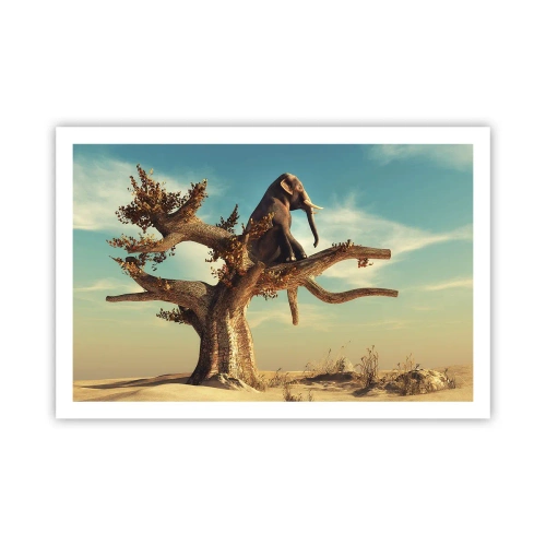 Poster - Een nieuw gezichtspunt - 91x61 cm