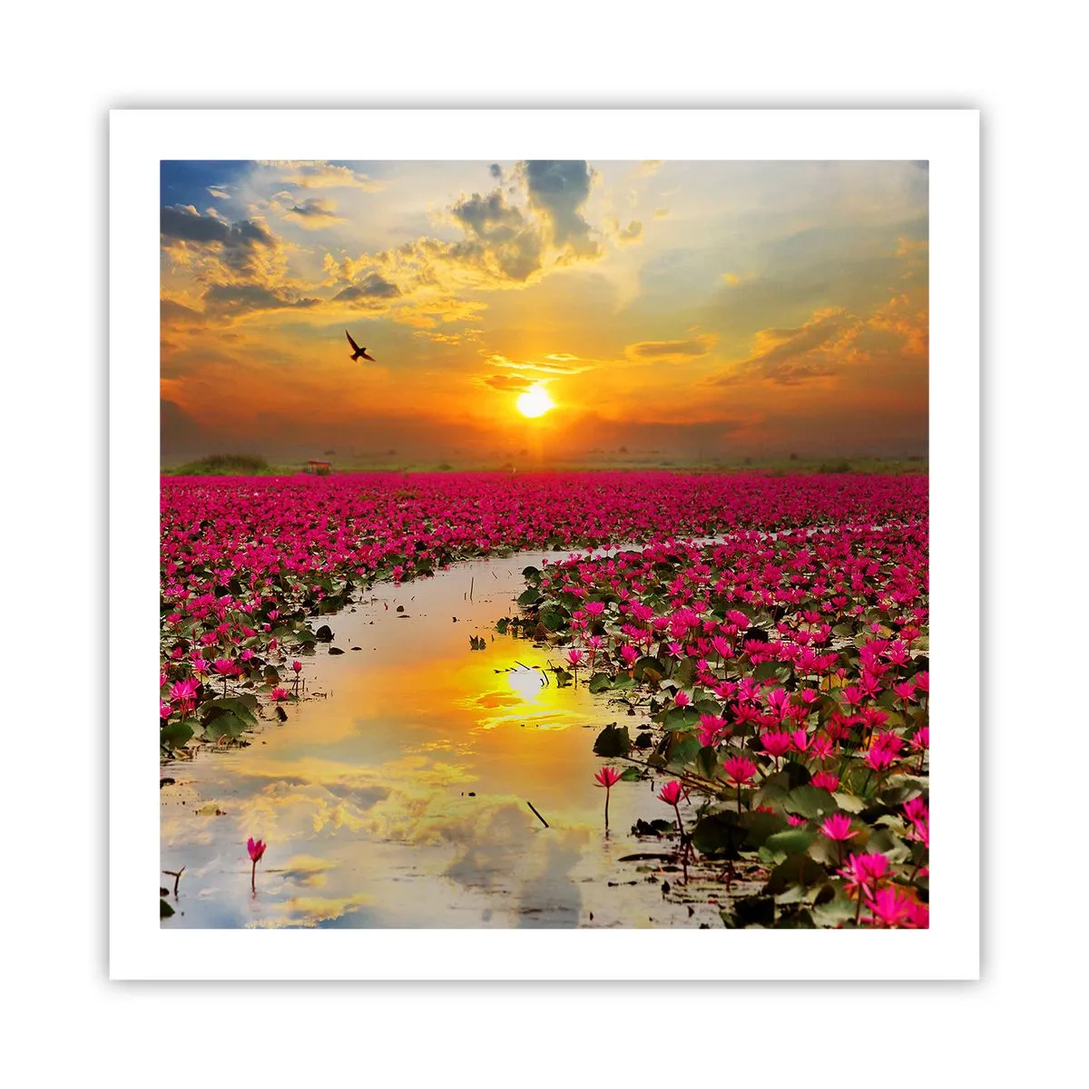 Poster - Het geheime leven van het meer - 60x60 cm