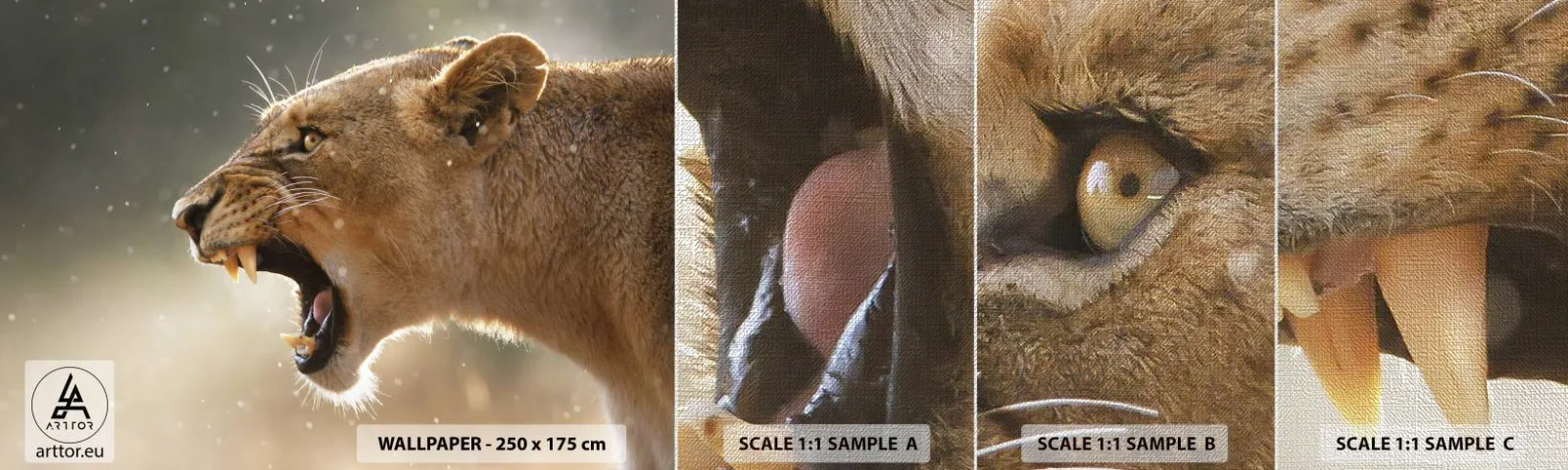 Fotobehang Monster Premium Canvas - Probeer niet te luisteren - Dieren, Leeuw, Afrika - 100x30 cm