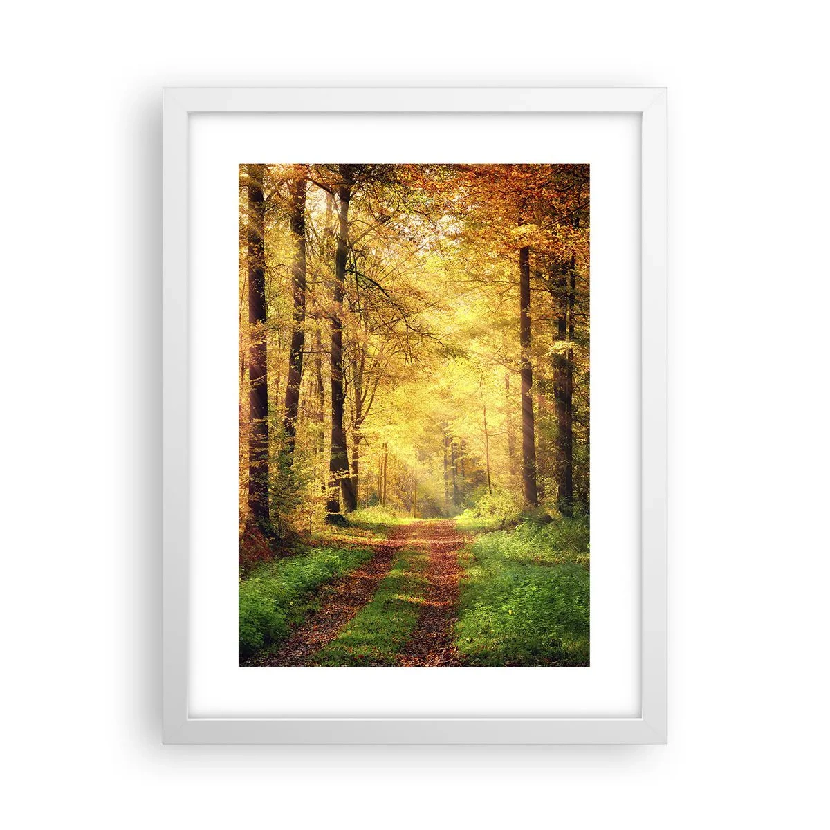 Poster in een witte lijst - Bos-gouden stilte - 30x40 cm