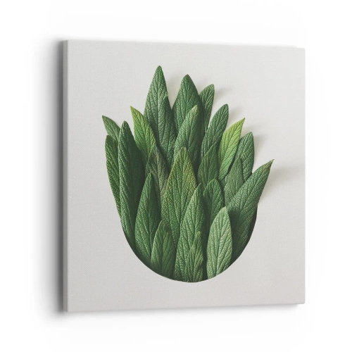 Schilderen op canvas - Ongebreidelde nieuwsgierigheid - 40x40 cm