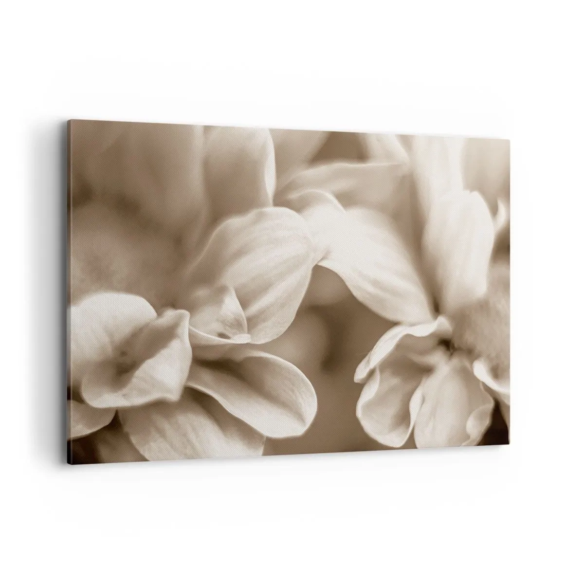 Schilderen op canvas - Zo zacht als een glimlach - 100x70 cm