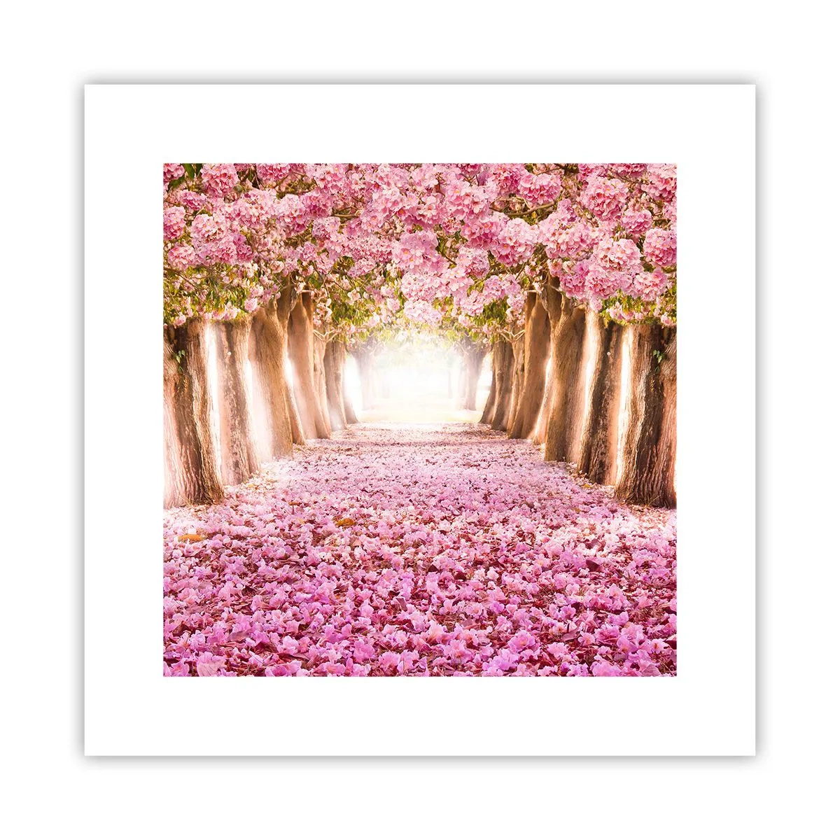 Poster - De weg naar het paradijs - 30x30 cm