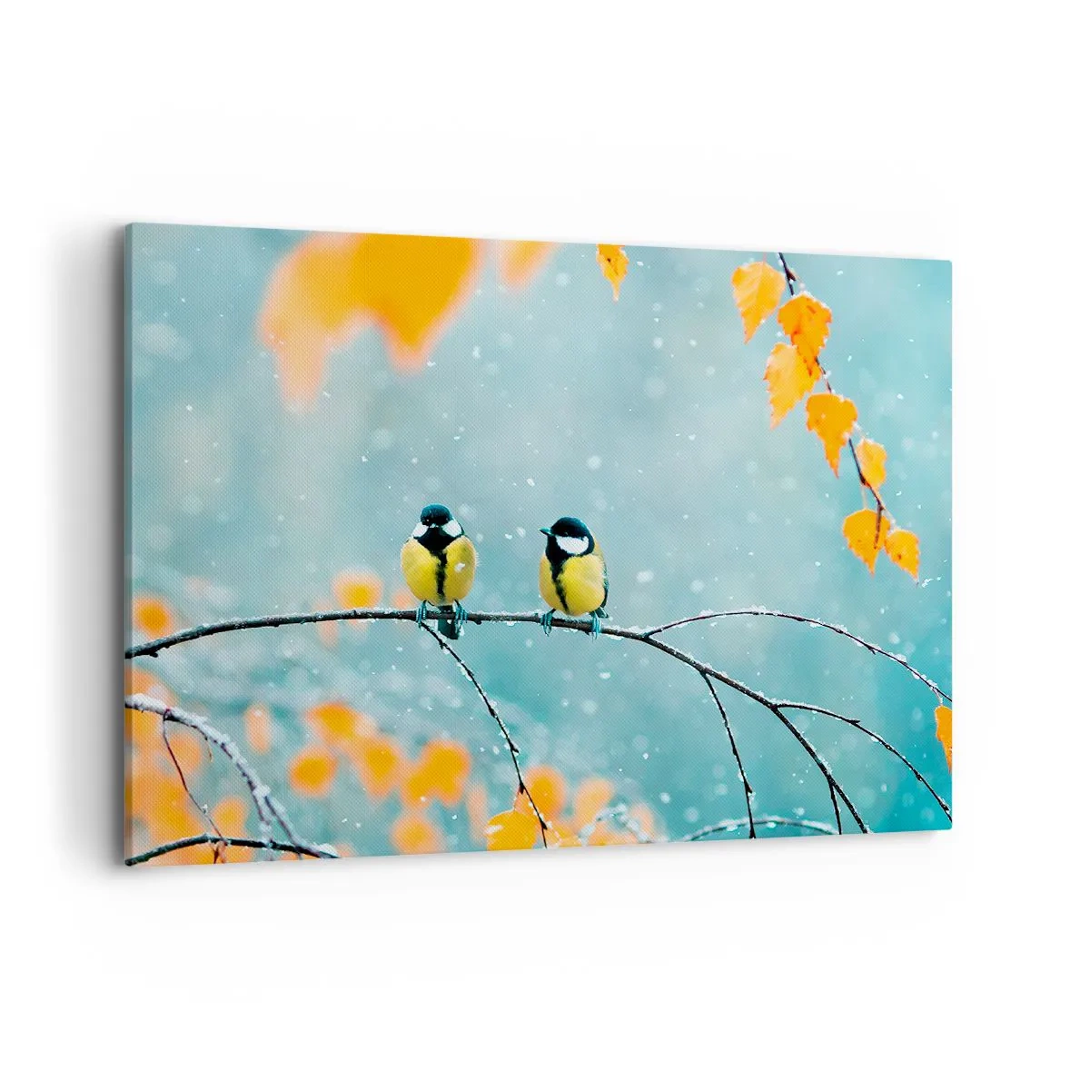 Schilderen op canvas - Vogelroddel - 100x70 cm