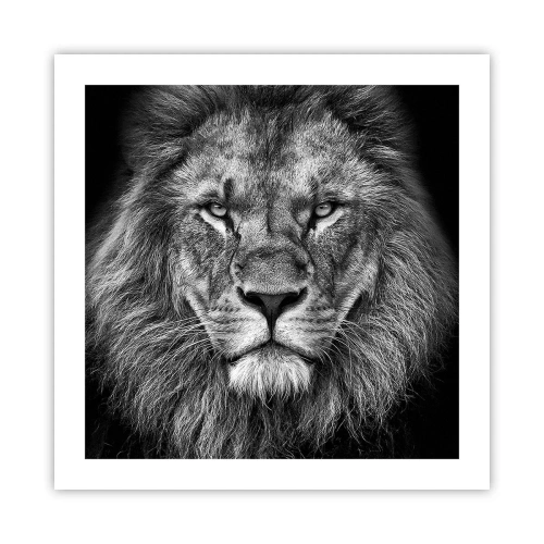 Poster - In een kroningskleed - 50x50 cm