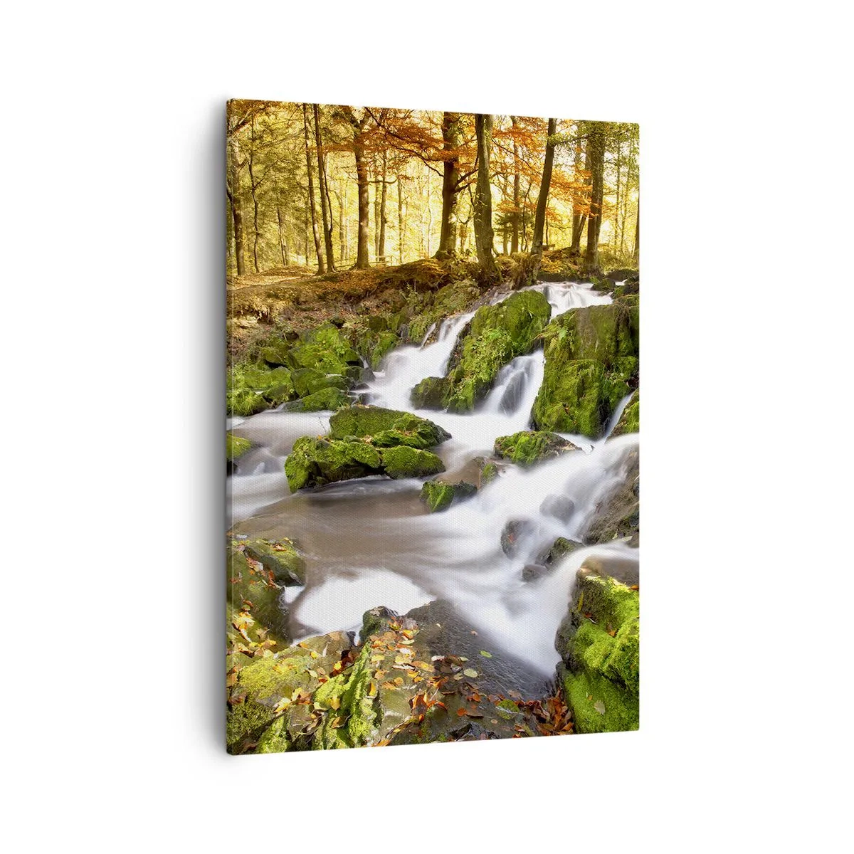 Schilderen op canvas - Snel door het herfstbos - 50x70 cm