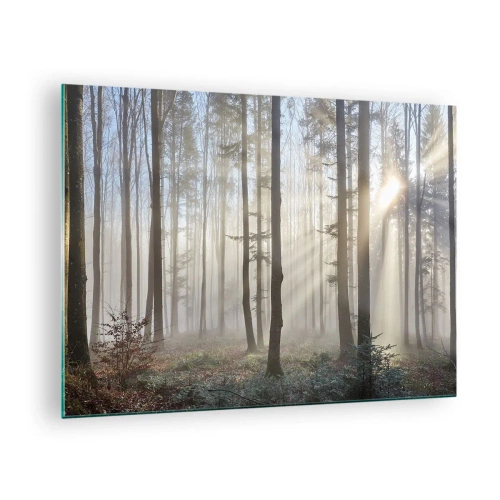 Schilderen op glas - Ochtendzonnestralen die het mistige bos binnendringen - 70x50cm - De mist werd ook wakker - Moderne wanddecoratie voor woonkamer en slaapkamer ARTTOR