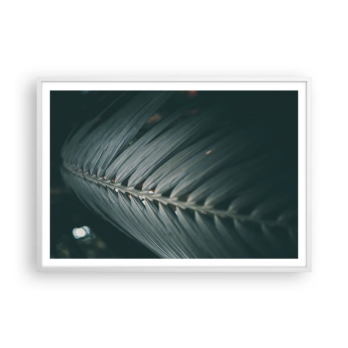 Poster in een witte lijst - De precisie van de natuur - 100x70 cm