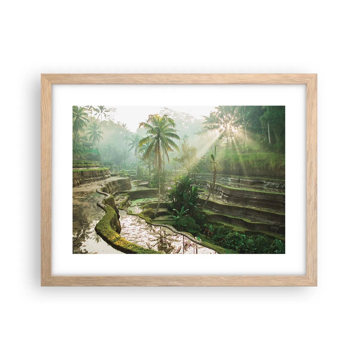 Een poster in een licht eiken lijst - Opgroeien in de zon - 40x30 cm