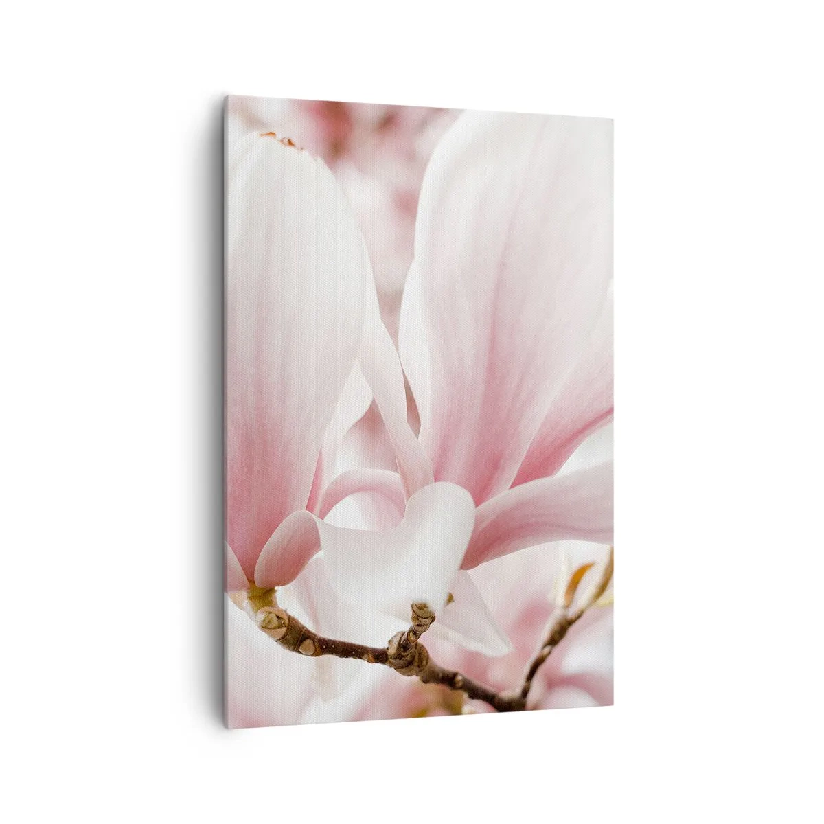 Schilderen op canvas - Een overvloed aan tederheid - 70x100 cm