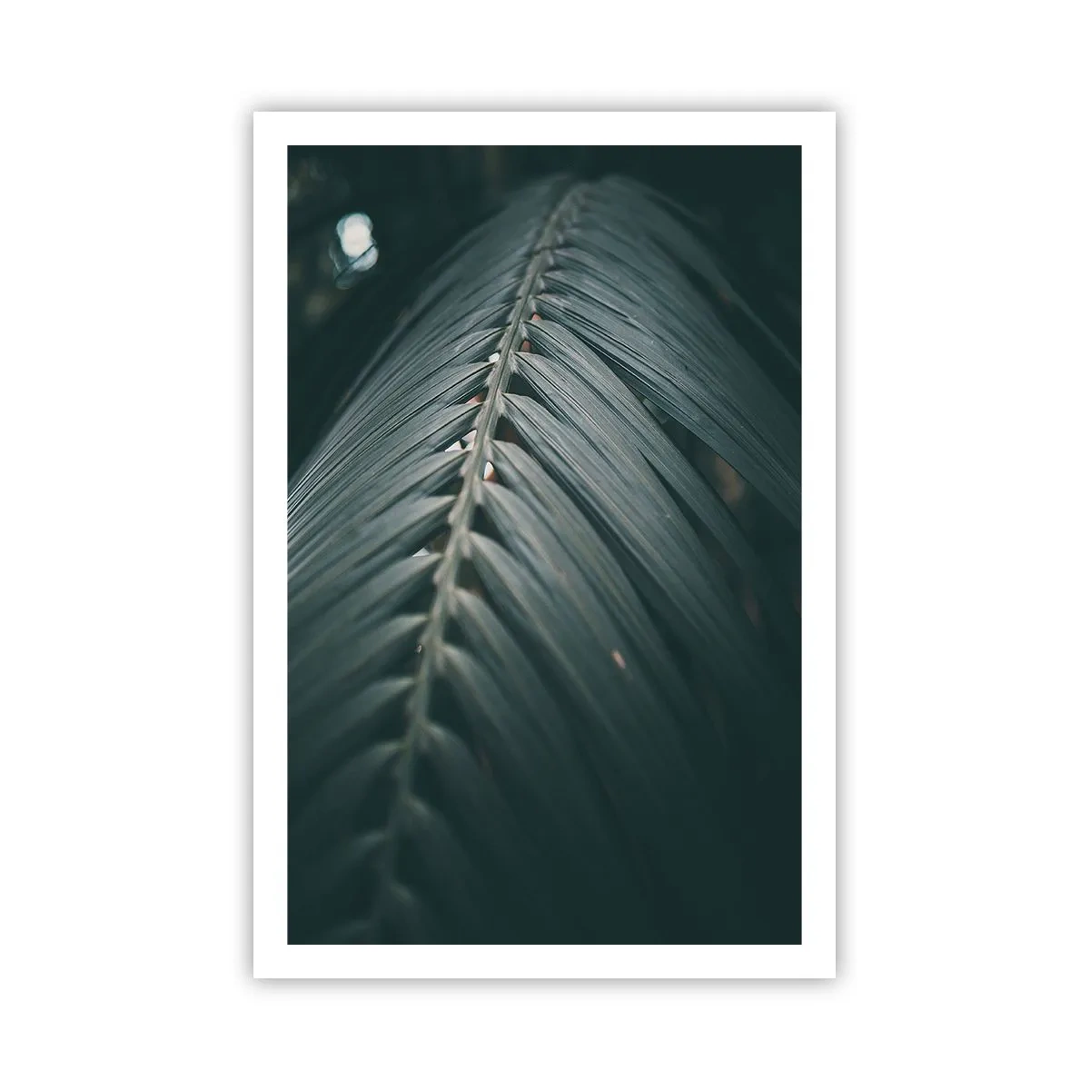 Poster - De precisie van de natuur - 61x91 cm