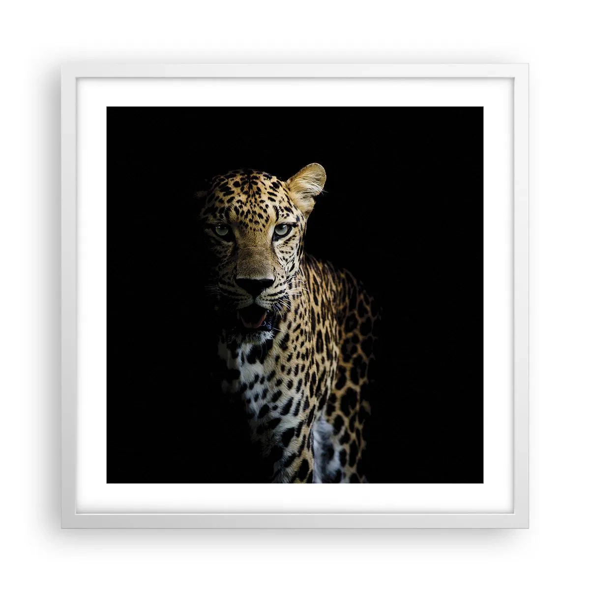 Poster in een witte lijst - Donkere schoonheid - 50x50 cm