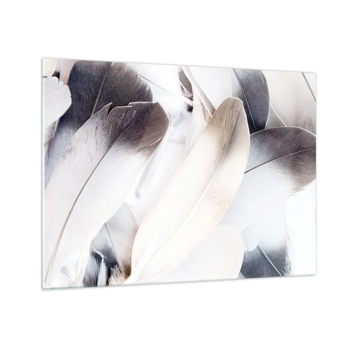Schilderen op glas - Fijne, lichte veren in tinten wit en grijs - 70x50cm - Bijna engelachtig - Moderne wanddecoratie voor woonkamer en slaapkamer ARTTOR