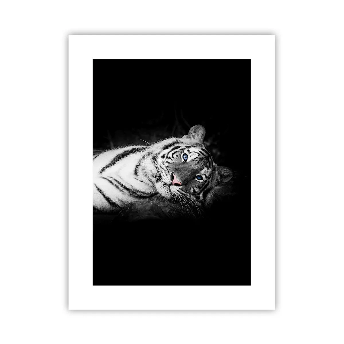 Poster - Wildheid en vrede - 30x40 cm