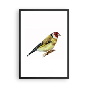 Poster in een zwarte lijst - Goudvink op een tak in aquarelstijl - 50x70cm - Vogel portret - Moderne wanddecoratie voor woonkamer en slaapkamer ARTTOR