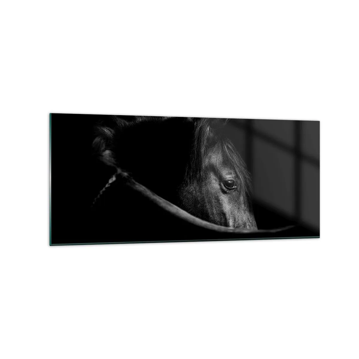 Schilderen op glas - Zwarte Prins - 120x50 cm