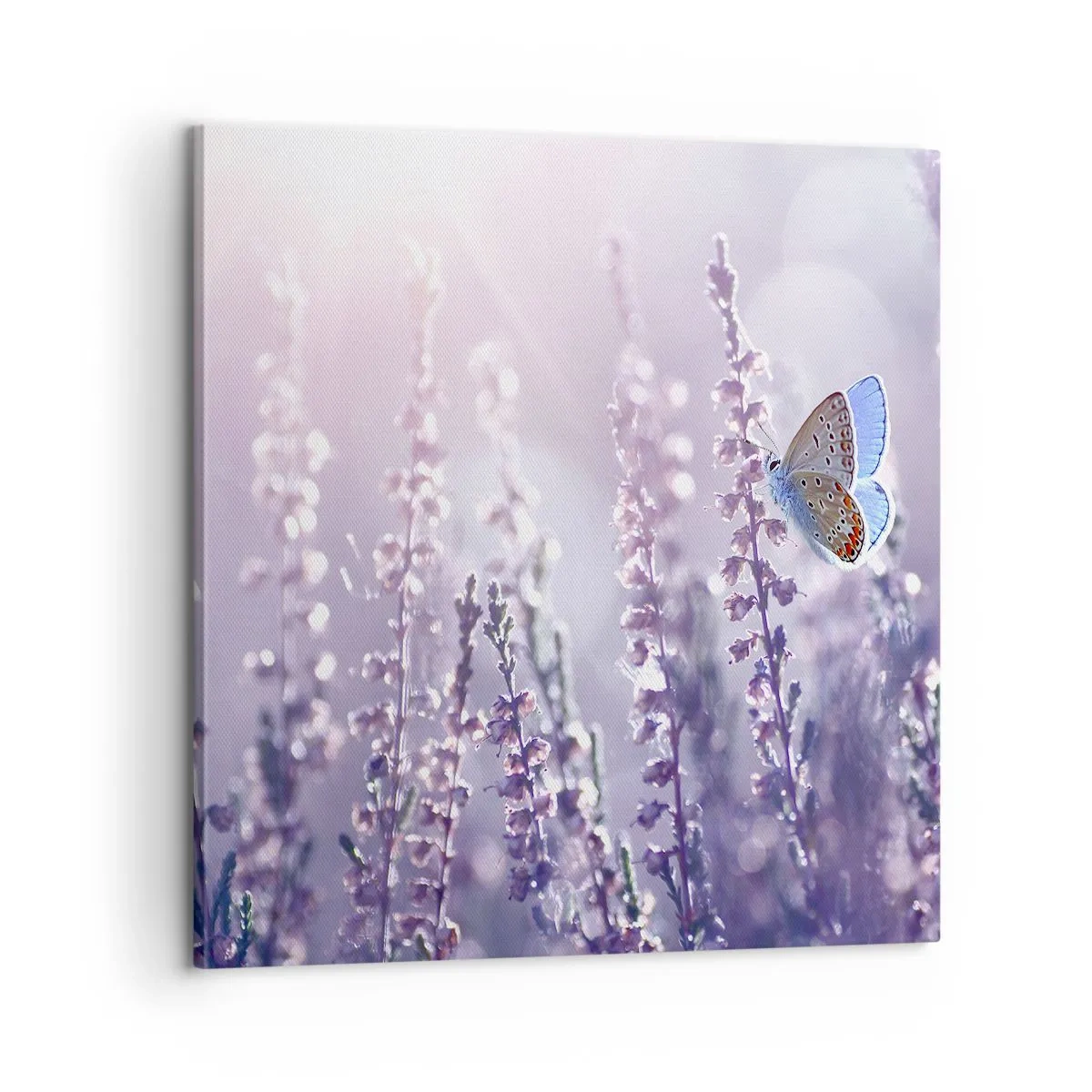 Schilderen op canvas - Vlinder kus - 60x60 cm
