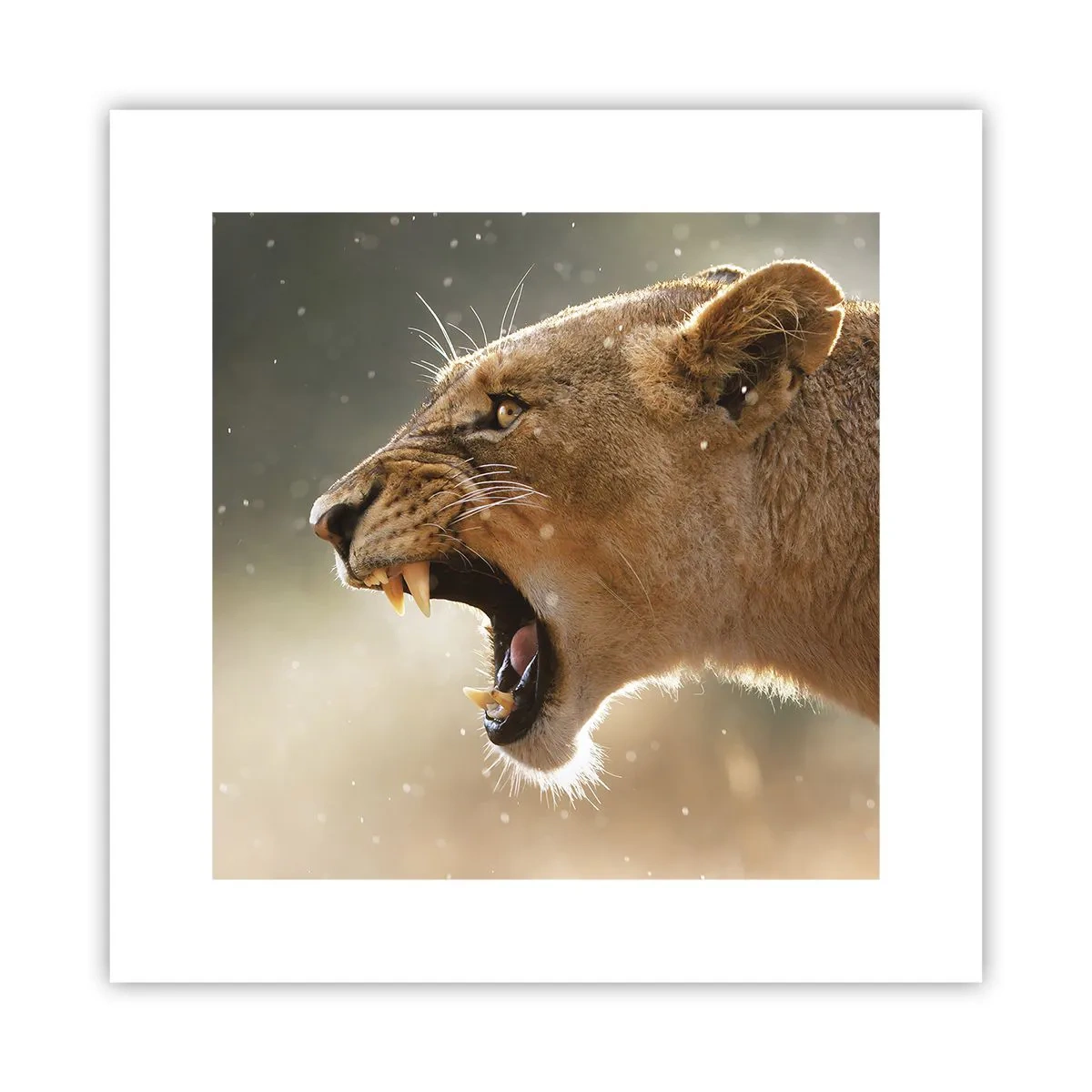 Poster - Probeer niet te luisteren - 30x30 cm