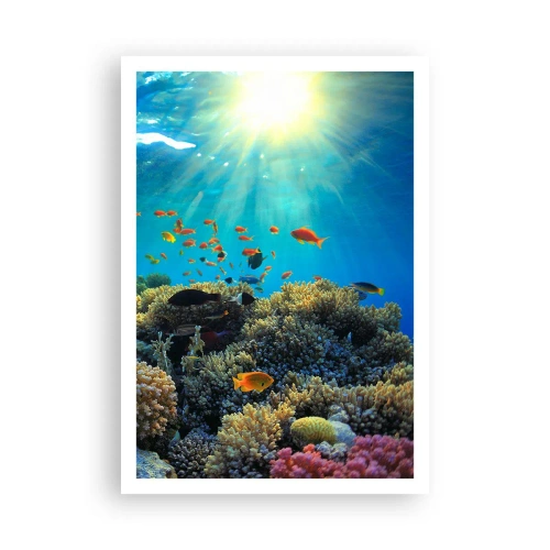 Poster - Onderwater schatten - 70x100 cm