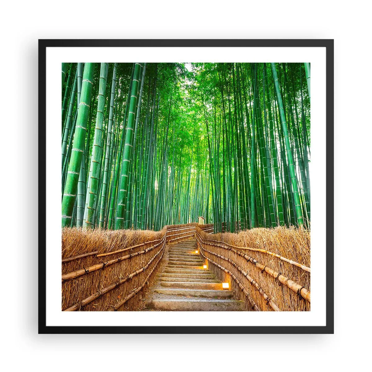 Poster in een zwarte lijst - De essentie van de aziatische natuur - 60x60 cm