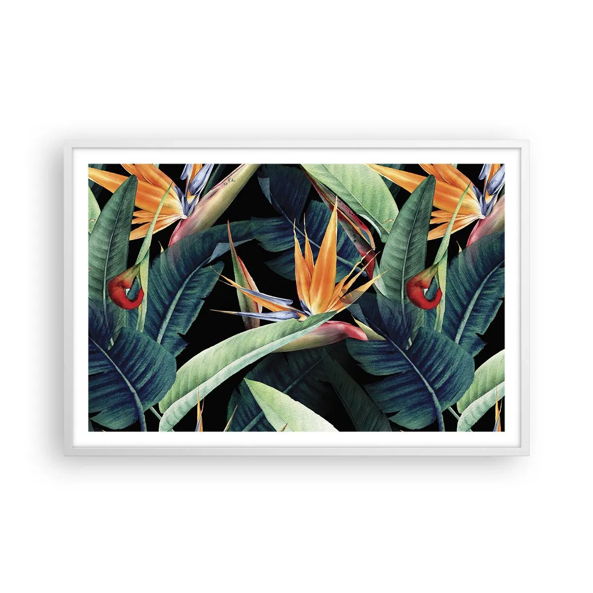 Poster in een witte lijst - Vlammende bloemen van de tropen - 91x61 cm