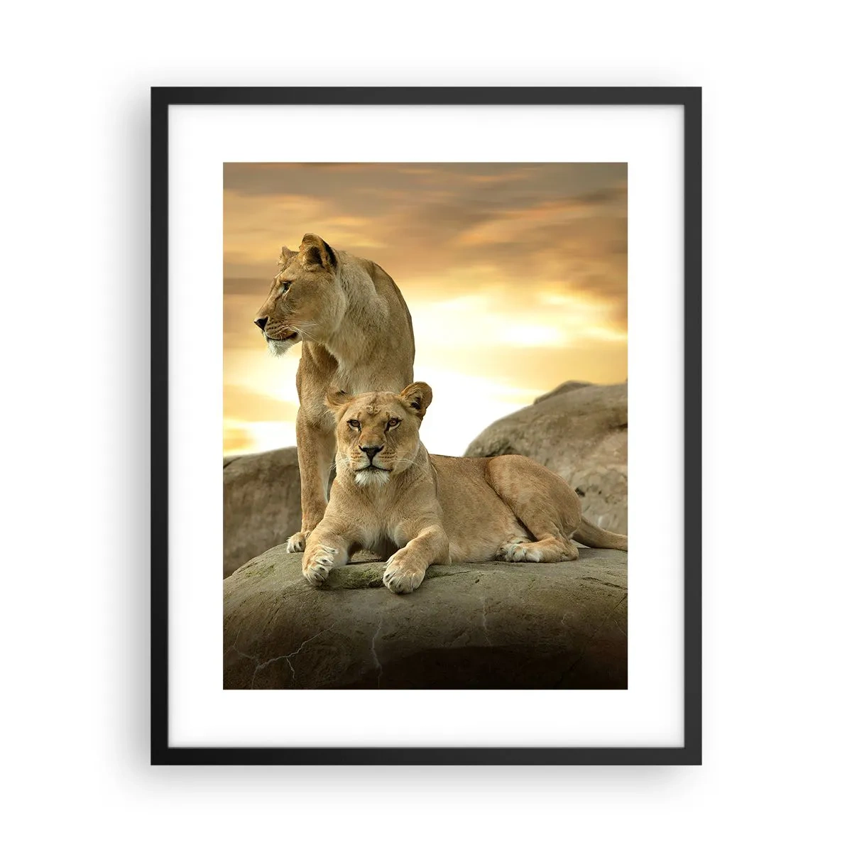 Poster in een zwarte lijst - Koninklijke majesteit - 40x50 cm