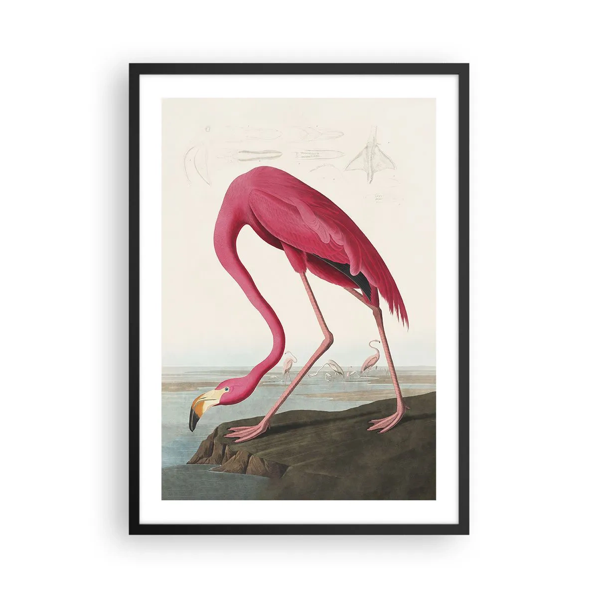 Poster in een zwarte lijst - Een roze flamingo tegen een natuurlijk landschap - 50x70cm - Geweldige creatie - Moderne wanddecoratie voor woonkamer en slaapkamer ARTTOR