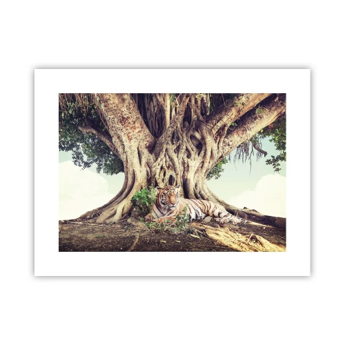 Poster - Uitzicht vanuit het boek Genesis - 40x30 cm