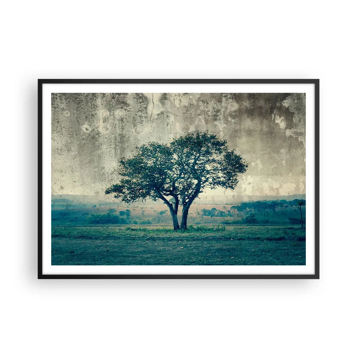Poster in een zwarte lijst - Een appelboom op een blauw veld? - 100x70 cm