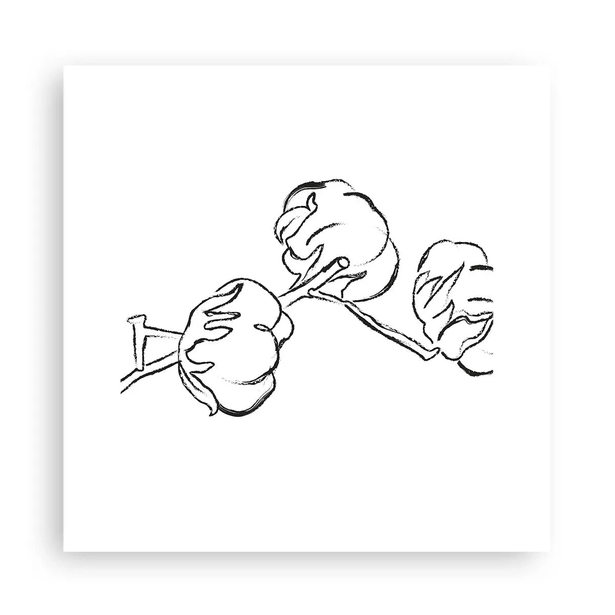 Poster - Katoen dons - 30x30 cm