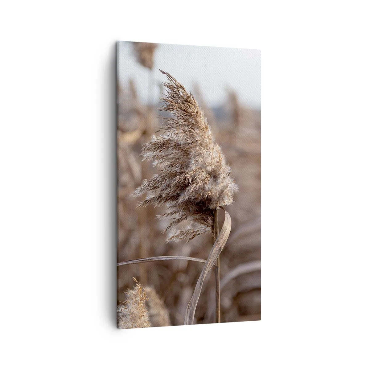 Schilderen op canvas - Tijd om met de wind mee te gaan - 45x80 cm