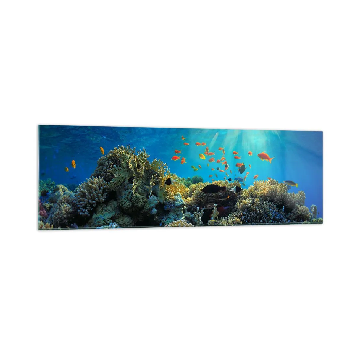 Schilderen op glas - Onderwater schatten - 160x50 cm