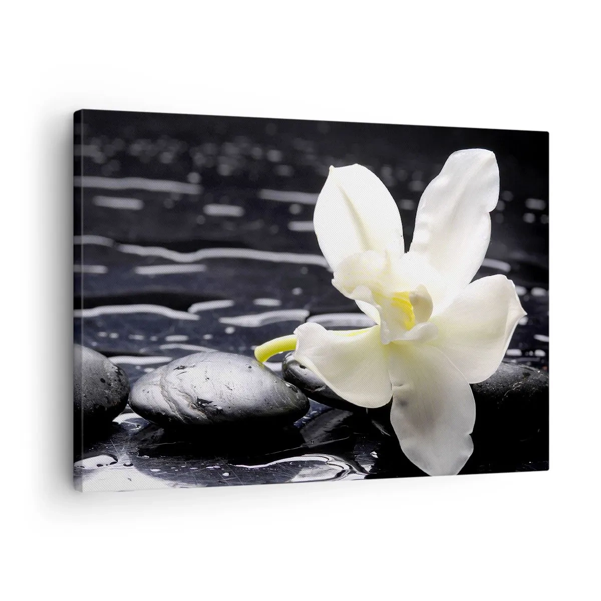 Schilderen op canvas - Een witte orchidee tegen een achtergrond van zwarte stenen en water. - 70x50cm - Een studie in zwart-wit - Moderne wanddecoratie voor woonkamer en slaapkamer ARTTOR