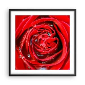 Poster in een zwarte lijst - In de dauwdruppels - 50x50 cm