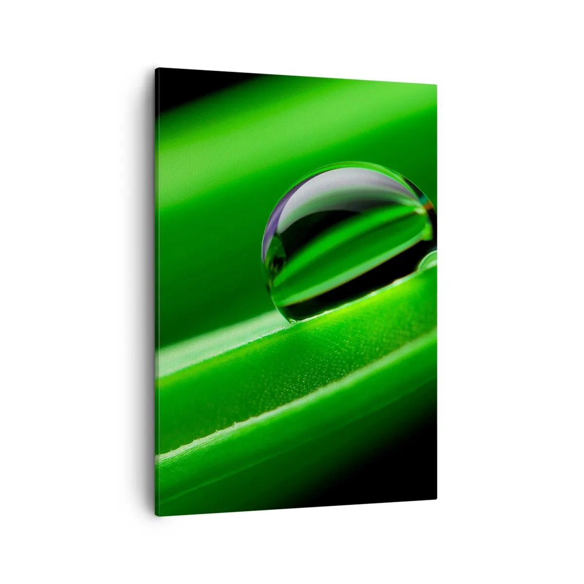 Schilderen op canvas - Leven van dichtbij - 50x70 cm