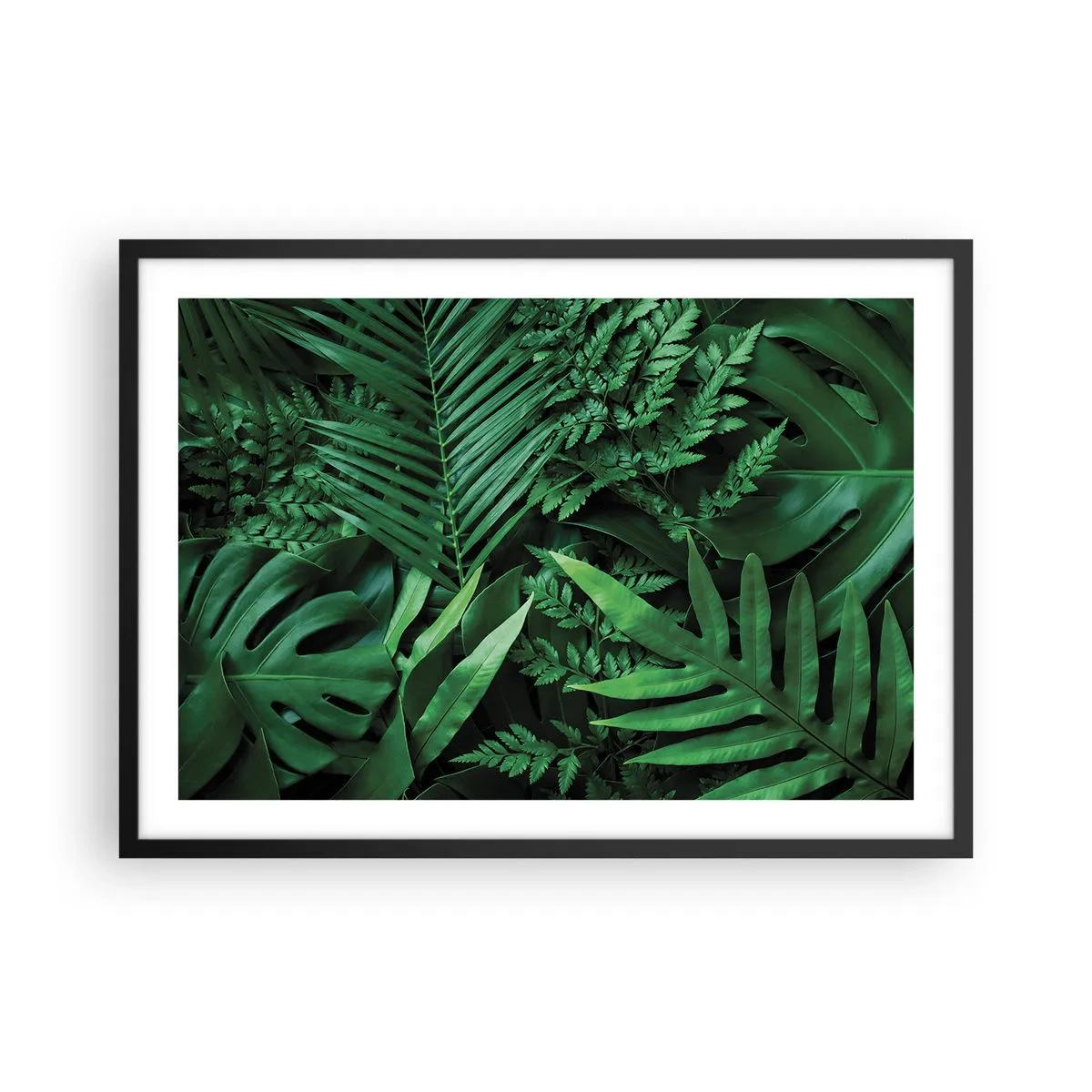 Poster in een zwarte lijst - Ineengedoken in het groen - 70x50 cm
