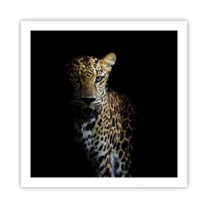 Poster - Donkere schoonheid - 60x60 cm
