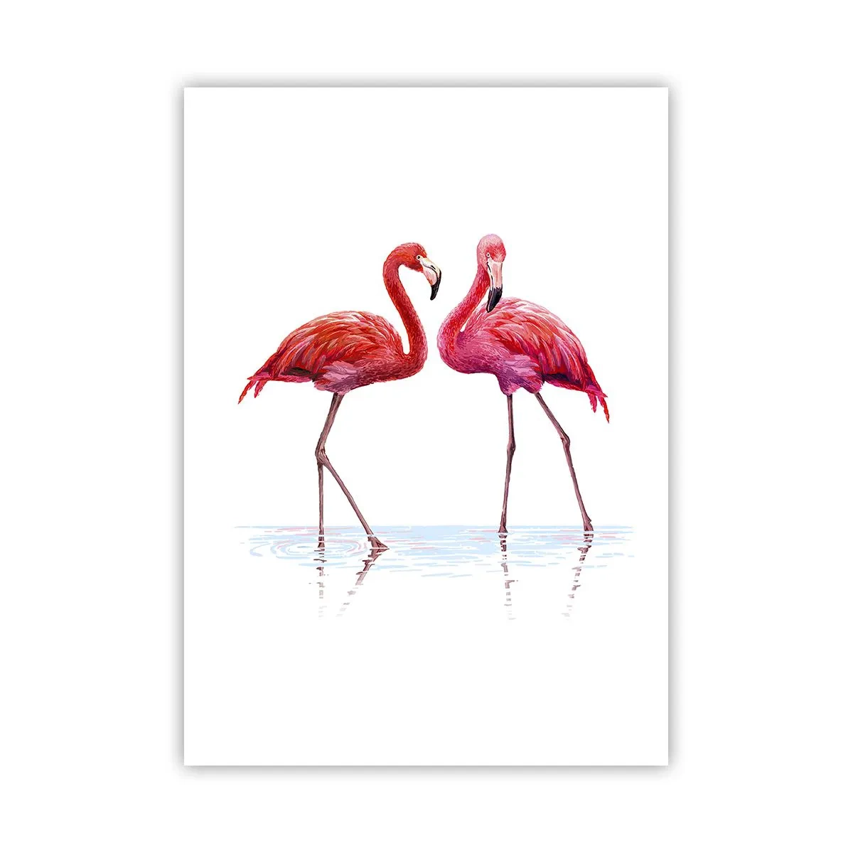 Poster - Roze randez-vous - 50x70 cm