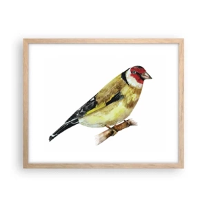 Een poster in een licht eiken lijst - Vogel portret - 50x40 cm