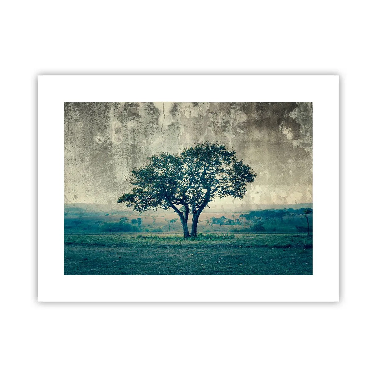 Poster - Een appelboom op een blauw veld? - 40x30 cm