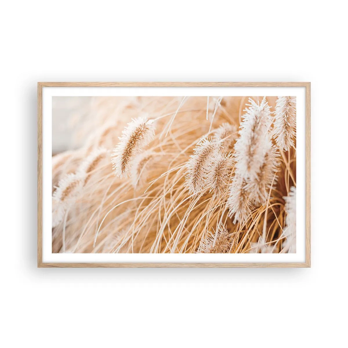 Een poster in een licht eiken lijst - Het gouden geritsel van het gras - 91x61 cm