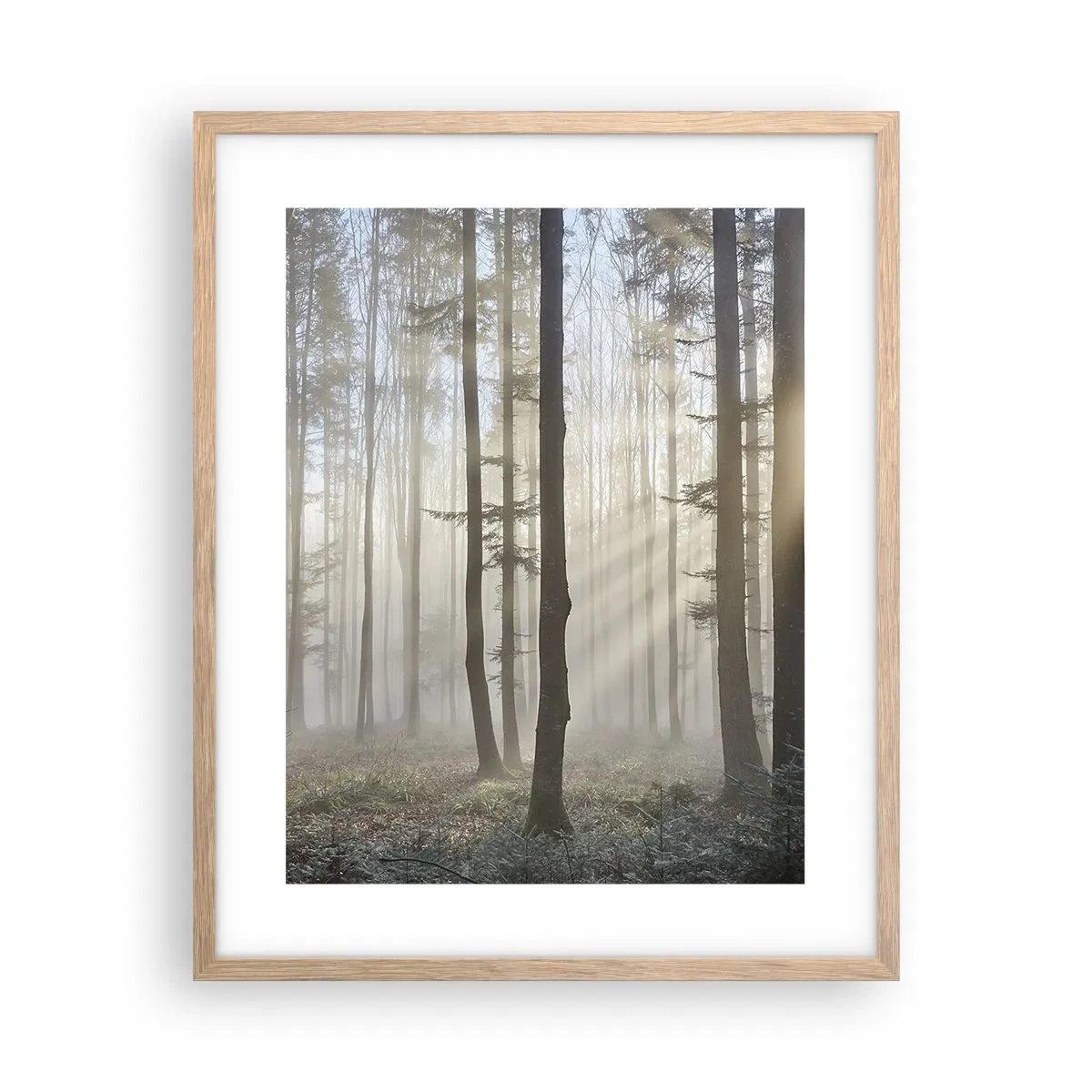 Een poster in een licht eiken lijst - De mist werd ook wakker - 40x50 cm
