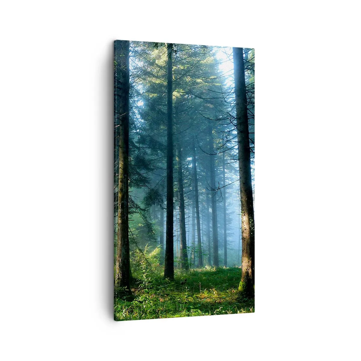 Schilderen op canvas - Stralend in de ochtend - 45x80 cm